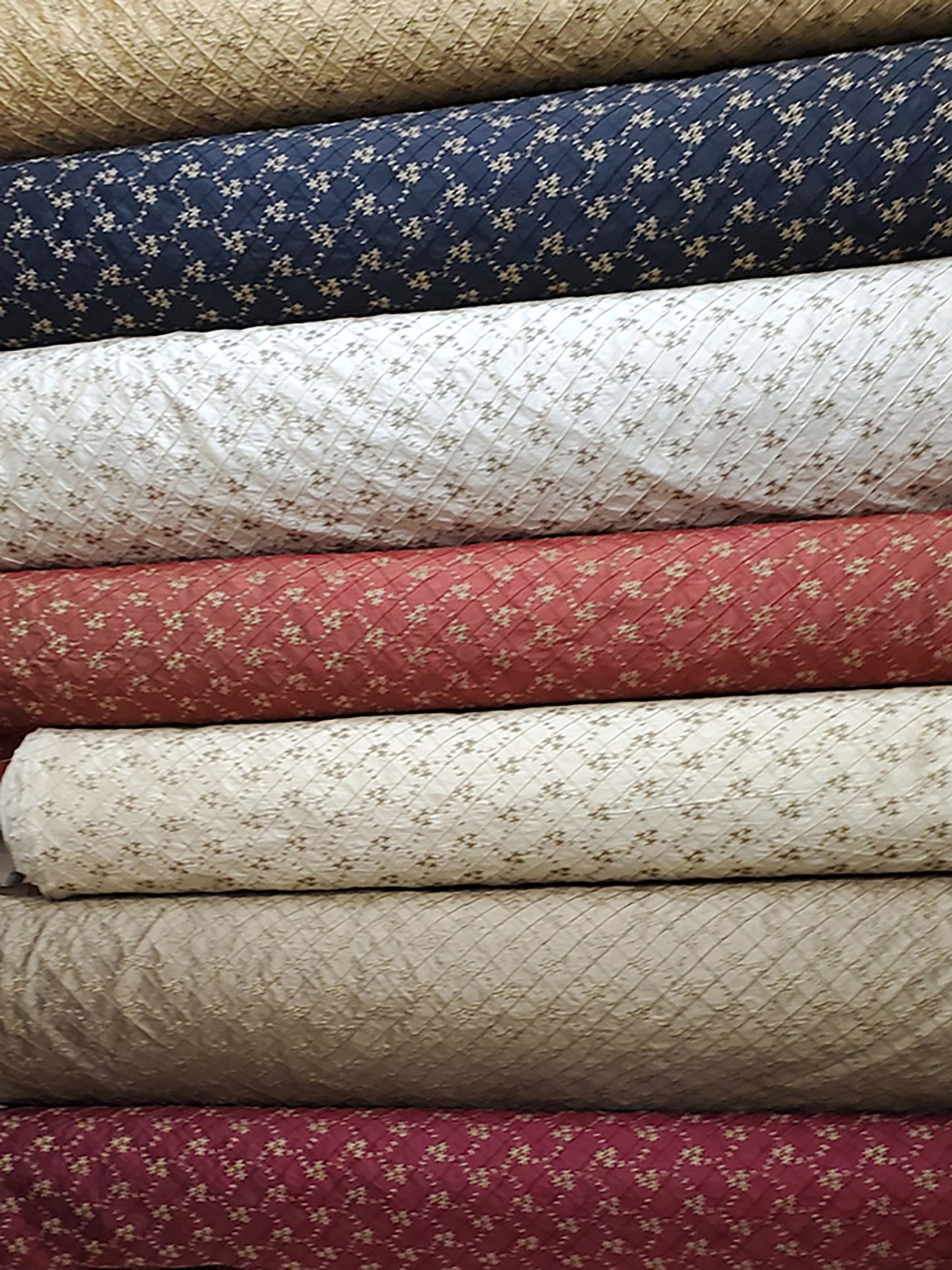 Morningside Collection - Cream