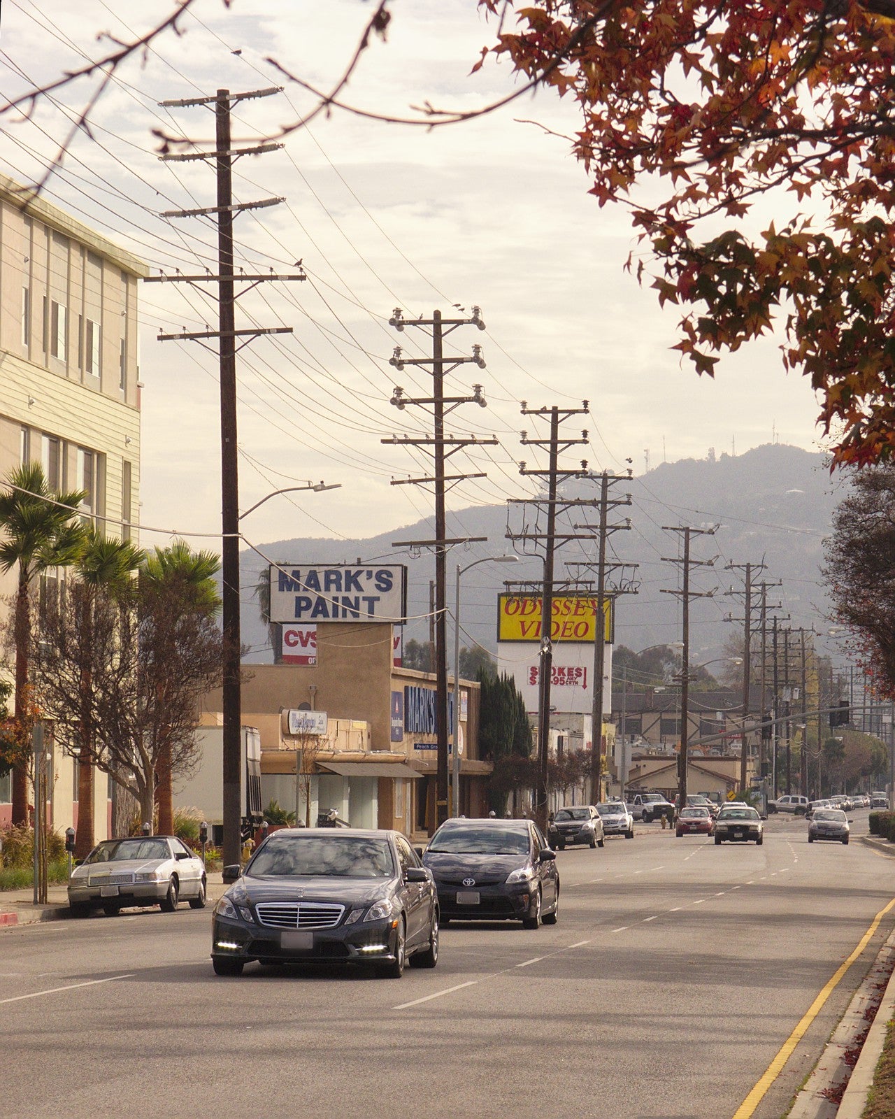 Vineland Collection - Velvet Embroidered Silk Taffeta - Goldenrod - 2.5 Yard Remnant
